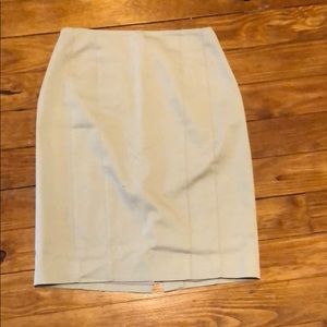 Ann Taylor Skirt